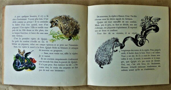 Quipic le Hérisson. Images de F. Rojankowski.
