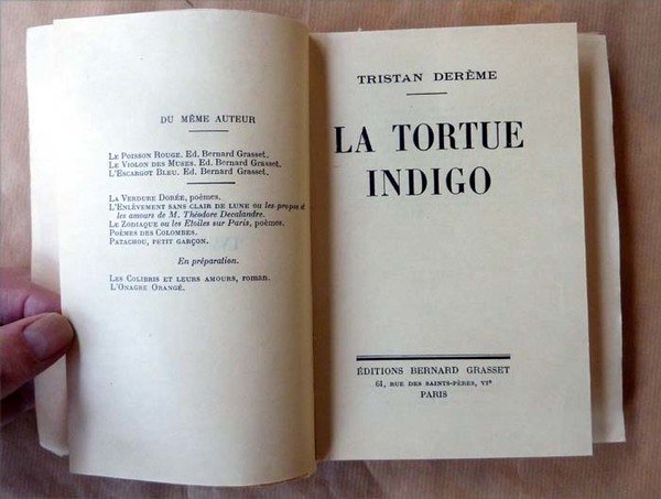 La Tortue Indigo.