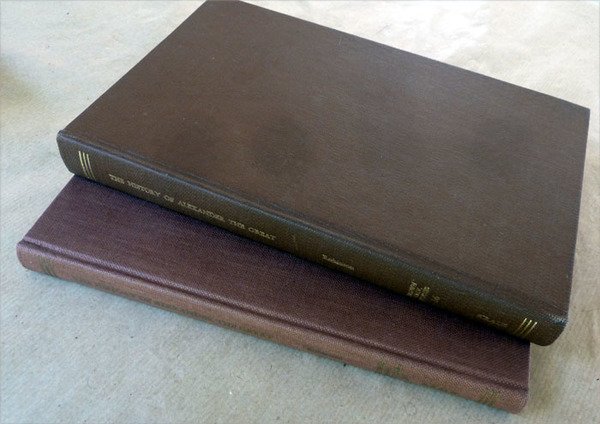 The History of Alexander the Great.