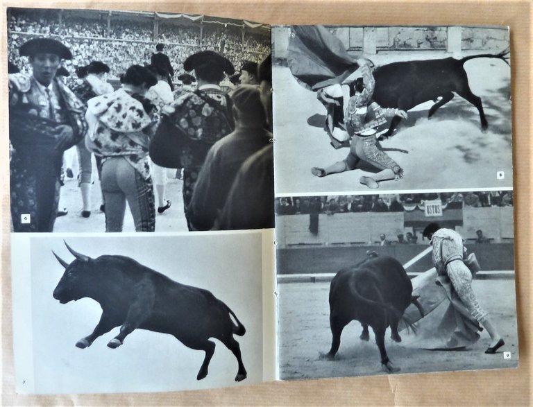 Des Toros et des Hommes.