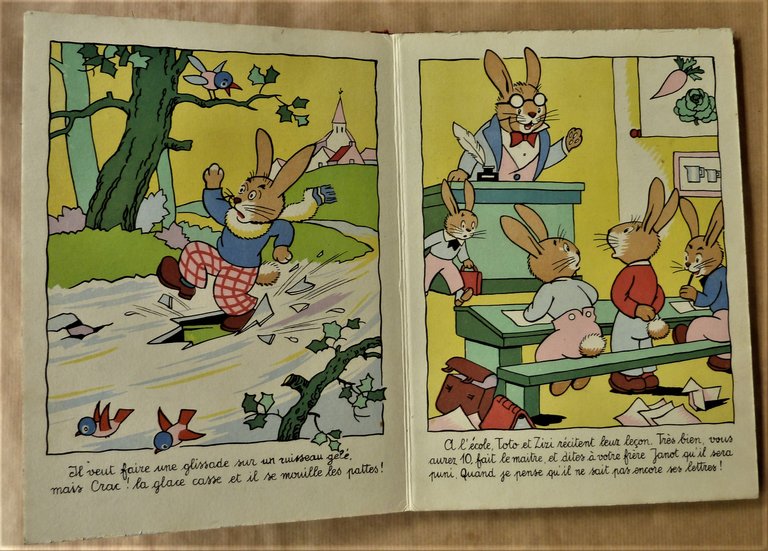 Histoire du Petit Lapin qui ne savait pas lire.