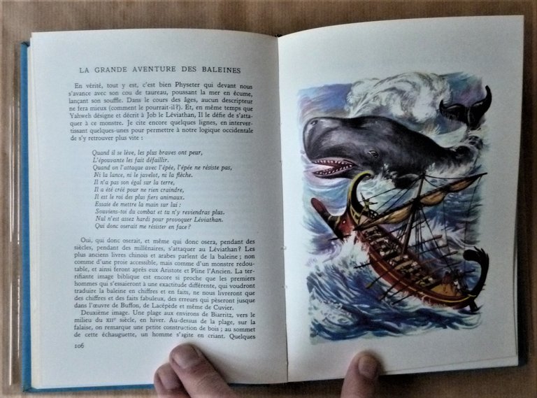 La Grande Aventure des Baleines.