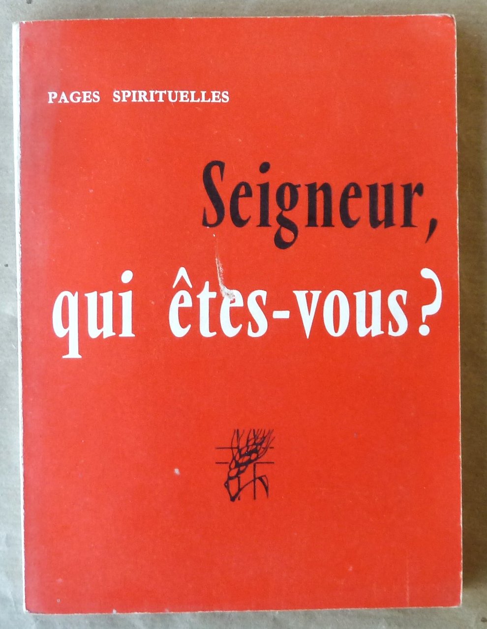 Seigneur, qui êtes-vous? Pages Spirituelles.