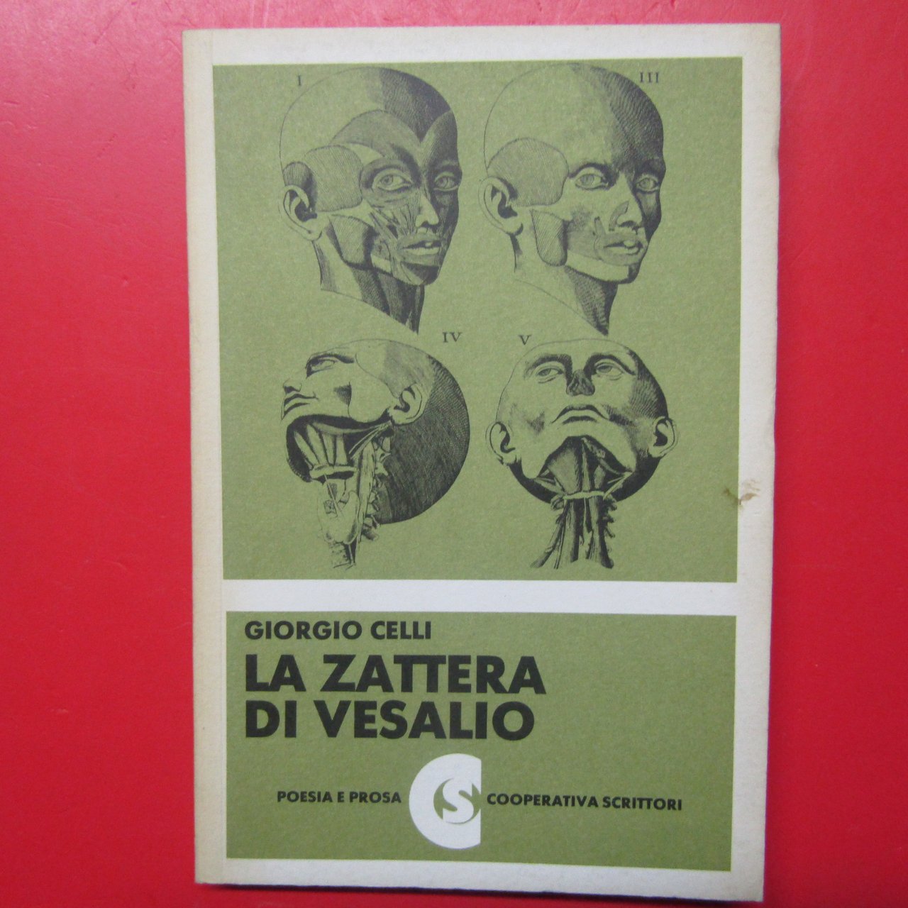 La zattera di Velasio