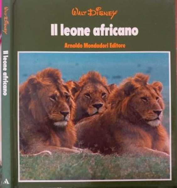 Il leone africano | Immagine principale