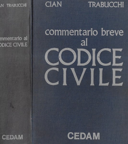 Commentario breve al codice civile
