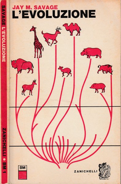 L'evoluzione