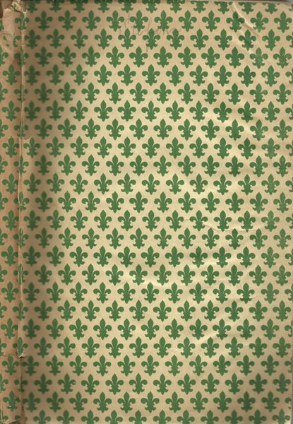 Stefania | Immagine principale