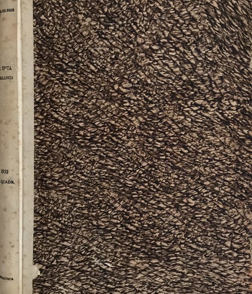 L'Unità 1955 | Immagine principale