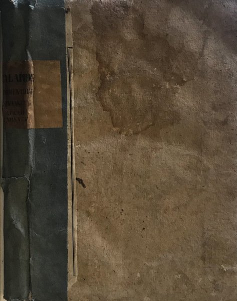 Commentarius In Quatuor Euangelia