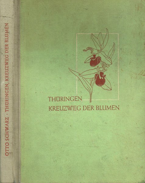 Thuringen, Kreuzweg der Blumen | Immagine principale