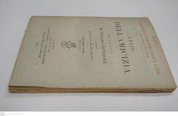 Lelio dell'amicizia | Immagine Gallery 3