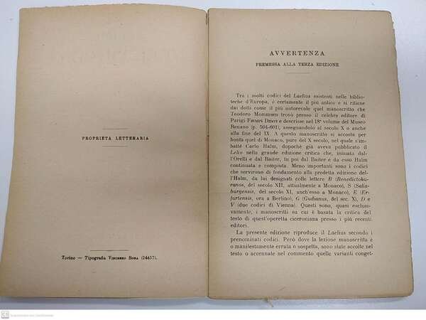 Lelio dell'amicizia | Immagine Gallery 4