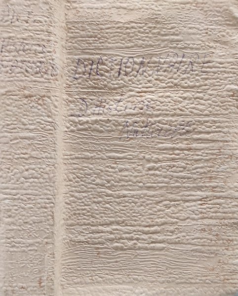 Dictionnaire raisonné et abregé d'histoire naturelle. Par d'anciens professeurs tome … | Immagine principale