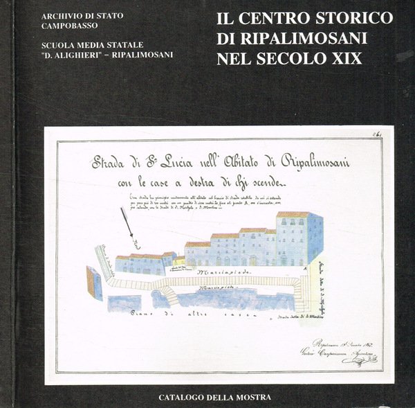 Il centro storico di Ripalimosani nel secolo XIX. Aspetti socio-urbanistici …