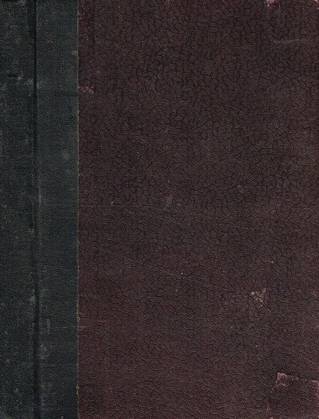 La giovinezza di D.Bosco. Libro per i ragazzi