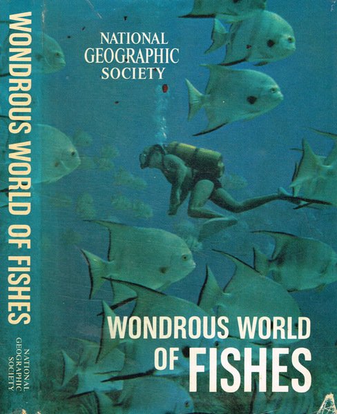 Wondrous world of fishes