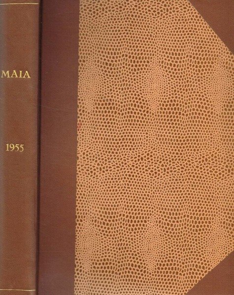 MAIA anno VII | Immagine principale