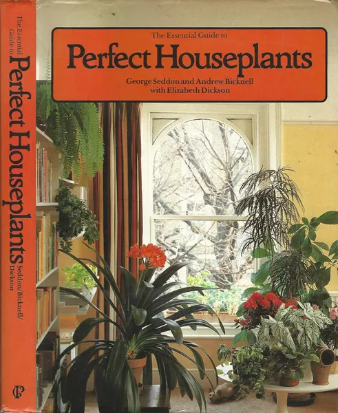 The Essential Guide to Perfect Houseplants | Immagine principale