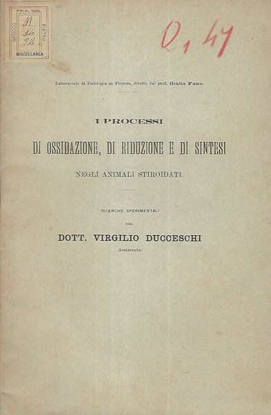 I processi di ossidazione, di riduzione e di sintesi negli …