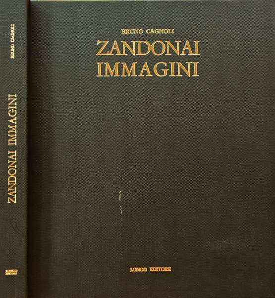 Zandonai Immagini