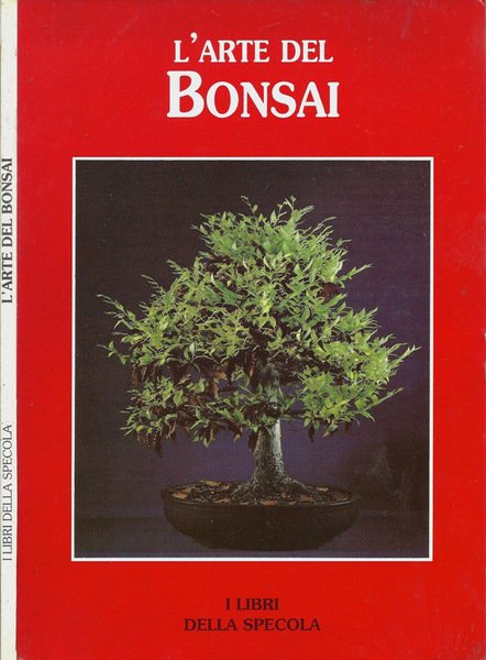 L'arte del Bonsai | Immagine principale
