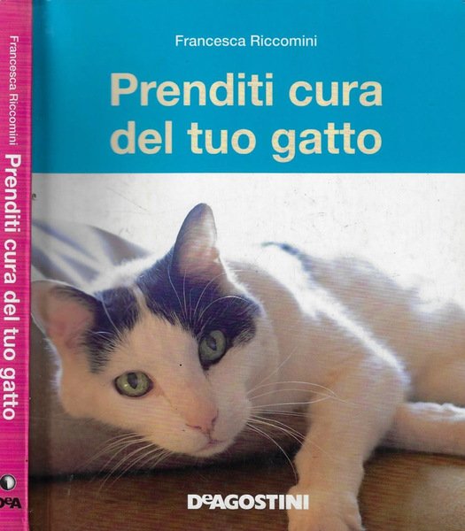 Prenditi cura del tuo gatto | Immagine principale