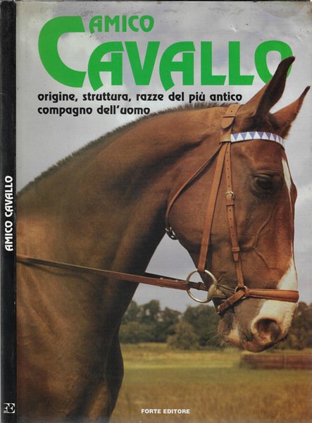 Amico cavallo | Immagine principale