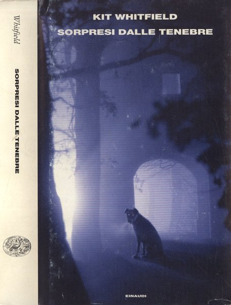 Sorpresi dalle tenebre | Immagine principale