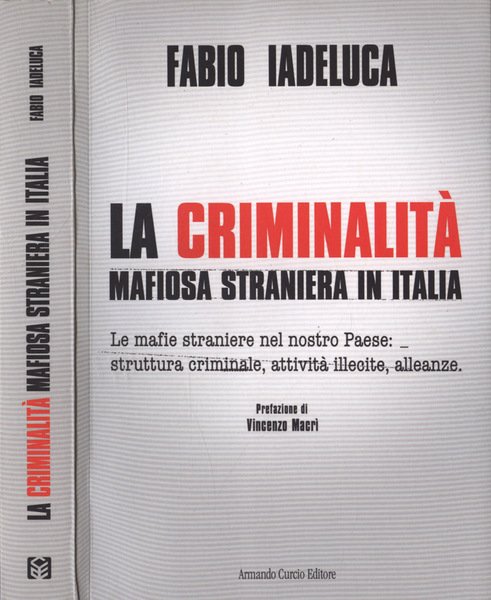 La criminalità mafiosa straniera in Italia Le mafie straniere nel …