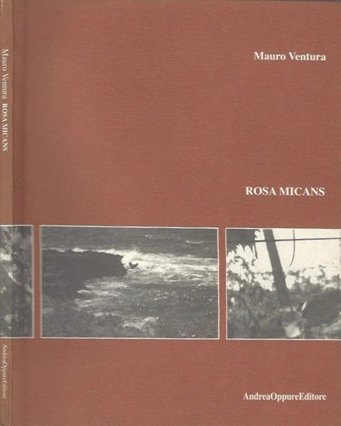 Rosa Micans | Immagine principale