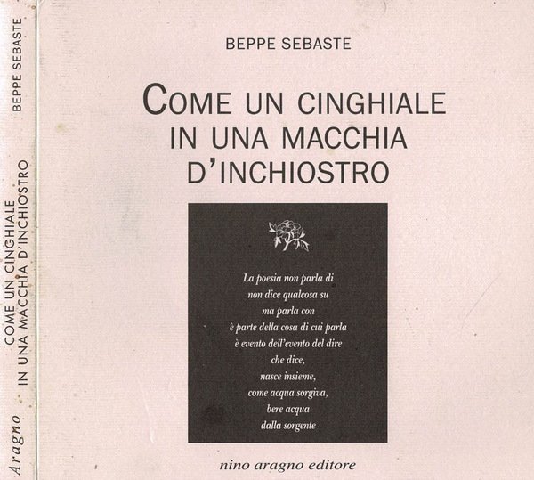 Come un cinghiale in una macchia d'inchiostro