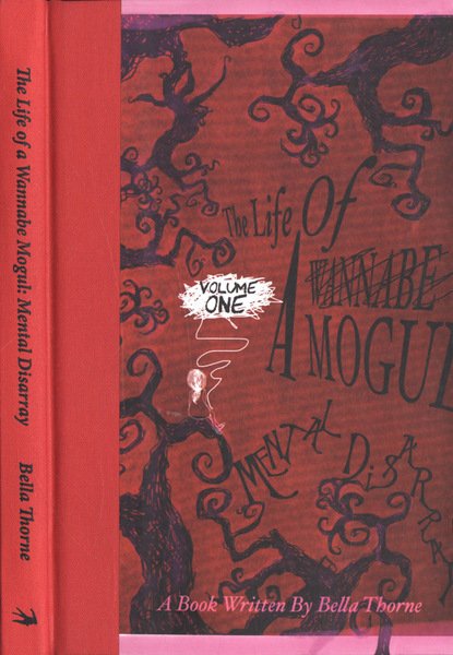 The life ao a wannabe Mogul