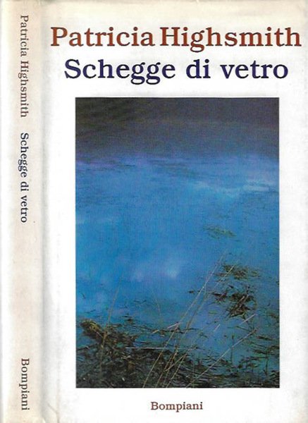 Schegge di vetro