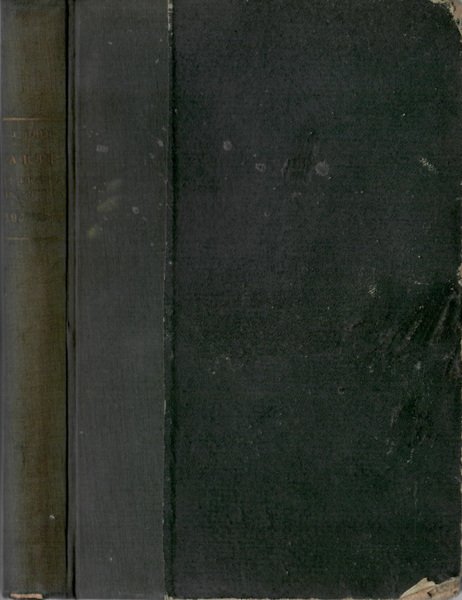 Le Arti Figurative In America | Immagine principale