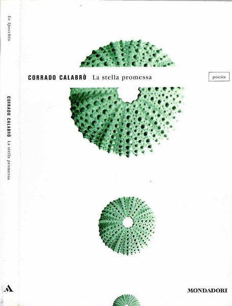La stella promessa