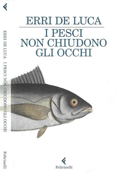 I pesci non chiudono gli occhi | Immagine principale
