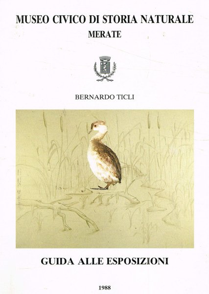 Museo civico di storia naturale Merate