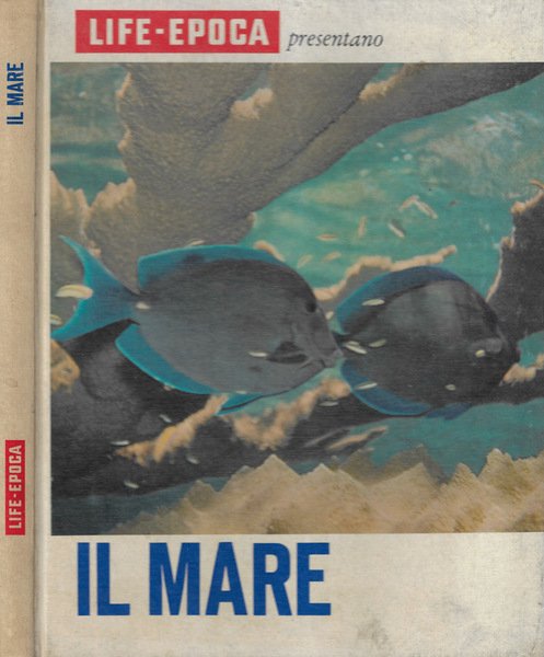 Il mare | Immagine principale