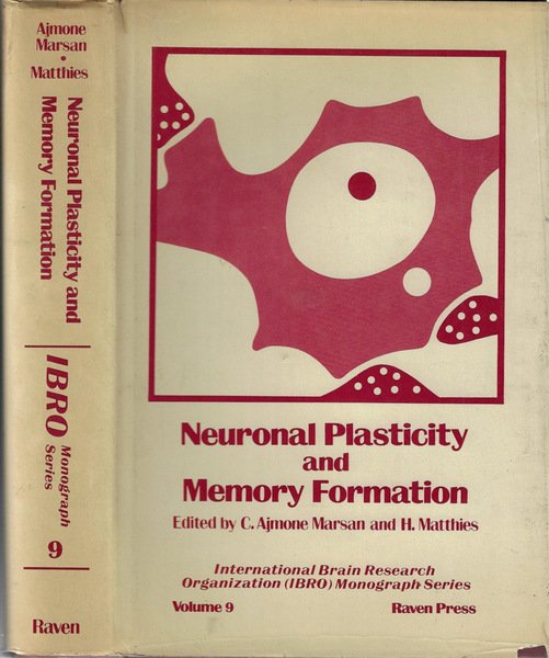 Neuronal plasticity and memory formation
