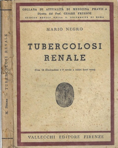 Tubercolosi renale