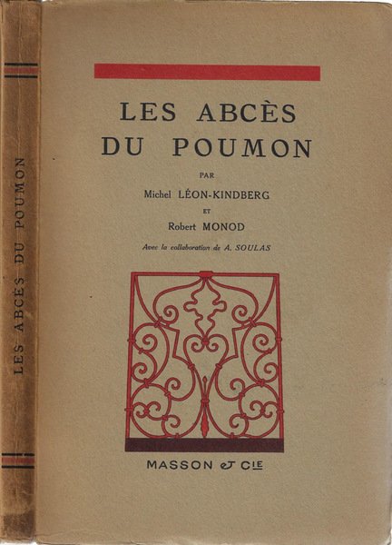 Les abcès du poumon