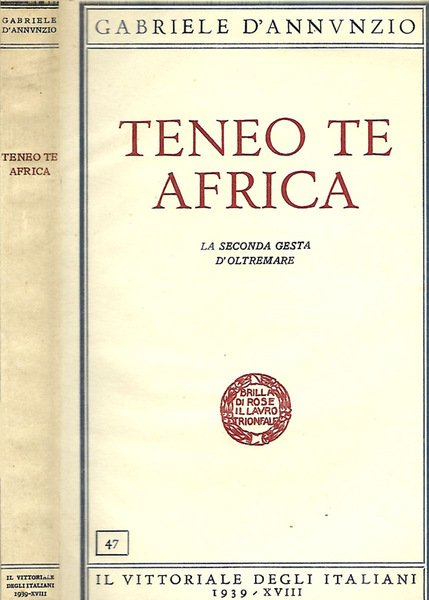 Teneo Te Africa