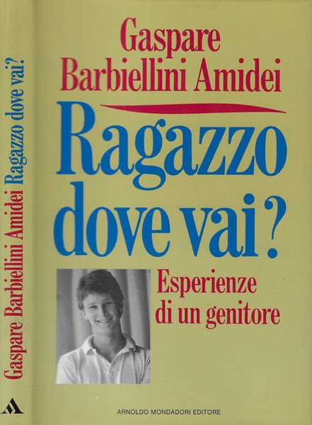 Ragazzo dove vai? | Immagine principale