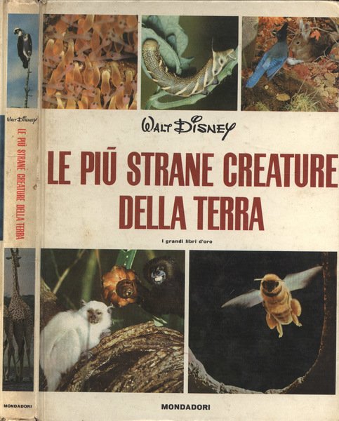 Le più strane creature della terra