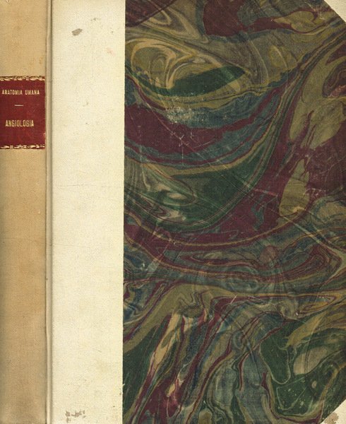 Anatomia umana (anatomia descrittiva-istologica-sviluppo) vol.IV