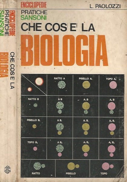 Che cos'è la biologia | Immagine principale