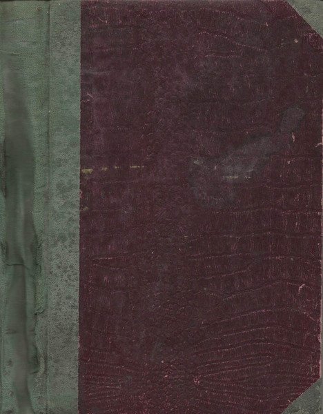 Come vivono le piante | Immagine principale