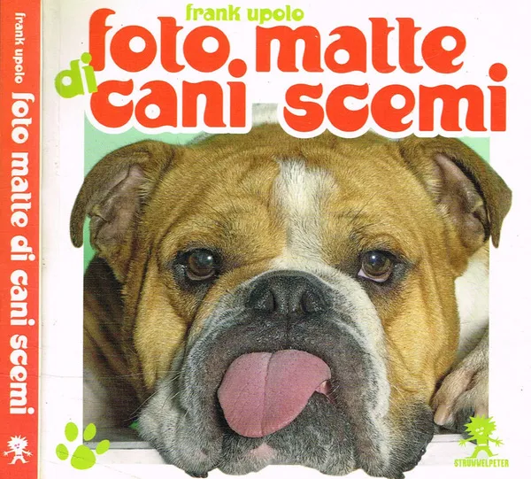 Foto matte di cani scemi