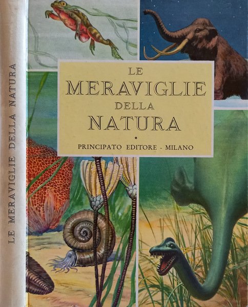 Le meraviglie della natura